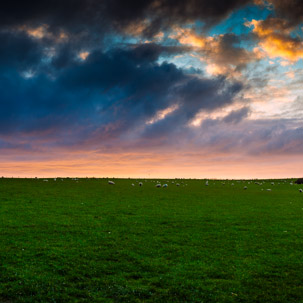 Dinas Island - 12 April 2014 / Sunset on Dinas Island Farm