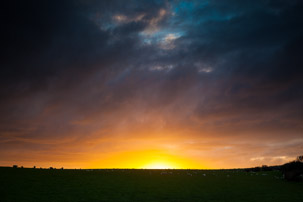 Dinas Island - 12 April 2014 / Sunset on Dinas Island Farm