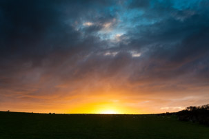 Dinas Island - 12 April 2014 / Sunset on Dinas Island Farm