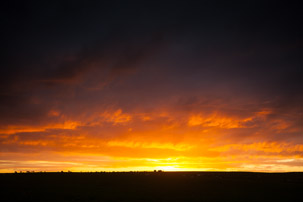 Dinas Island - 12 April 2014 / Sunset on Dinas Island Farm