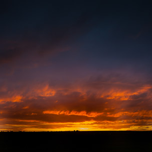 Dinas Island - 12 April 2014 / Sunset on Dinas Island Farm