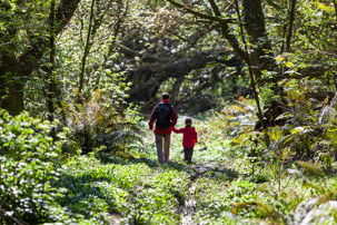 Dinas Island - 13 April 2014 / But we started by taking the wrong path... down the forest...