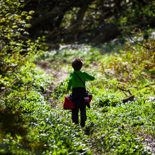 Dinas Island - 13 April 2014 / But we started by taking the wrong path... down the forest...