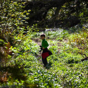 Dinas Island - 13 April 2014 / But we started by taking the wrong path... down the forest...