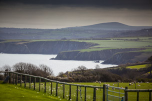 Dinas Island - 13 April 2014 / Dinas Island Farm. Best sheep farm of the year and best grassland of the year...