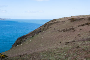 Dinas Island - 13 April 2014 / Dinas Island walk