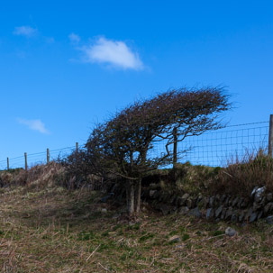 Dinas Island - 13 April 2014 / Dinas Island walk