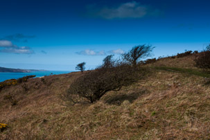 Dinas Island - 13 April 2014 / Dinas Island walk