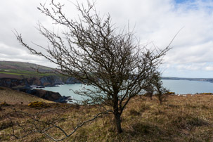 Dinas Island - 13 April 2014 / Dinas Island walk