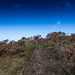 Dinas Island - 13 April 2014 / Steep walk