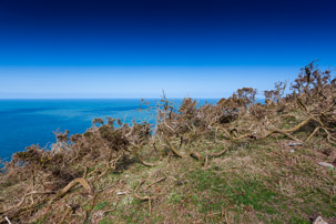 Dinas Island - 13 April 2014 / Beautiful coast