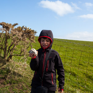 Dinas Island - 13 April 2014 / Oscar