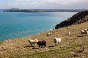 Dinas Island - 13 April 2014 / Dinas Island