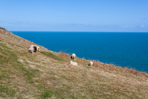 Dinas Island - 13 April 2014 / Dinas Island