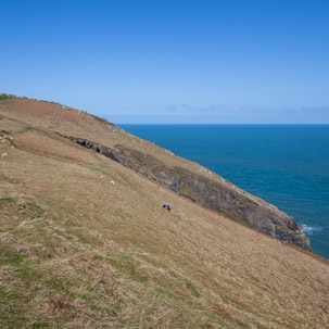 Dinas Island - 13 April 2014 / Pembrokeshire Coast