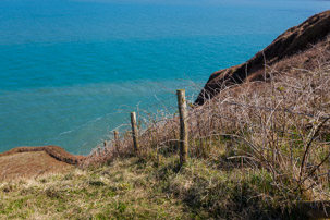 Dinas Island - 13 April 2014 / Pembrokeshire Coast