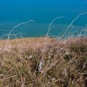 Dinas Island - 13 April 2014 / Pembrokeshire Coast