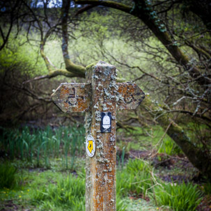 Dinas Island - 13 April 2014 / End of the walk around Dinas Island