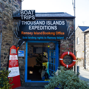 St Davids - 13 April 2014 / We booked our tickets to Ramsey Island from the RSPB