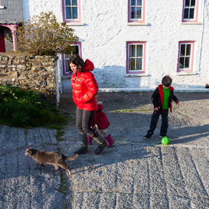 Dinas Island - 13 April 2014 / The cat