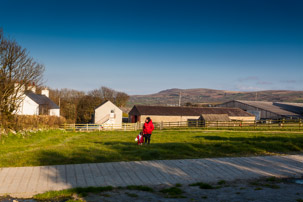 Dinas Island - 13 April 2014 / Evening short walk