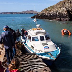 Ramsey Island - 14 April 2014 / Our boat for the trip