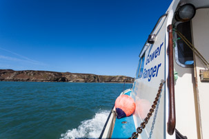 Ramsey Island - 14 April 2014 / On our way to Ramsey