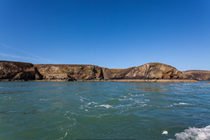 Ramsey Island - 14 April 2014 / Ramsey Island