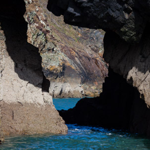 Ramsey Island - 14 April 2014 / Ramsey Island