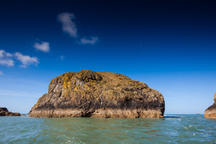 Ramsey Island - 14 April 2014 / Ramsey Island