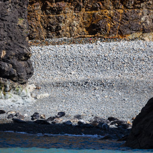 Ramsey Island - 14 April 2014 / Ramsey Island