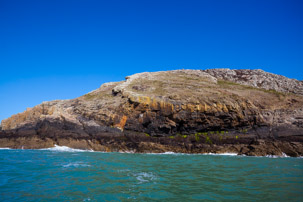 Ramsey Island - 14 April 2014 / Ramsey Island