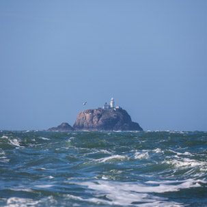 Ramsey Island - 14 April 2014 / Lighthouse
