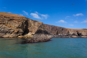 Ramsey Island - 14 April 2014 / Ramsey Island