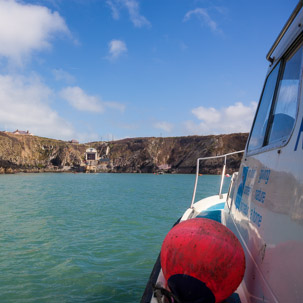 Ramsey Island - 14 April 2014 / Back to land