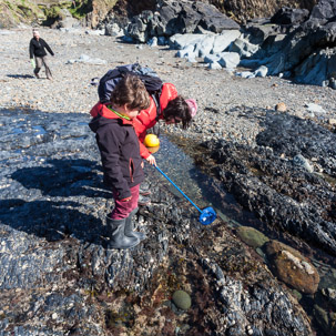 Trefin Beach - 14 April 2014 / Rock pooling