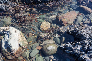 Trefin Beach - 14 April 2014 / Rock pooling