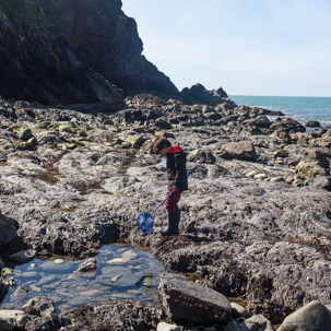 Trefin Beach - 14 April 2014 / Rock pooling