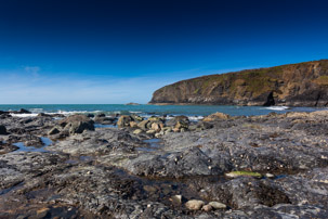 Trefin Beach - 14 April 2014 / Rock pooling