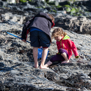 Newport - 15 April 2014 / Rock pooling