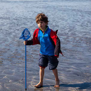 Newport - 15 April 2014 / Rock pooling