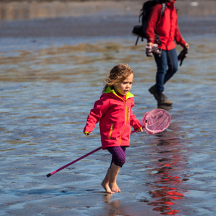 Newport - 15 April 2014 / Rock pooling