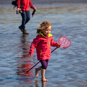 Newport - 15 April 2014 / Rock pooling