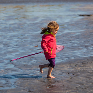 Newport - 15 April 2014 / Rock pooling