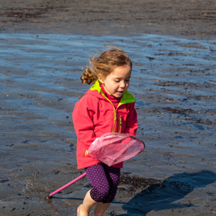 Newport - 15 April 2014 / Rock pooling