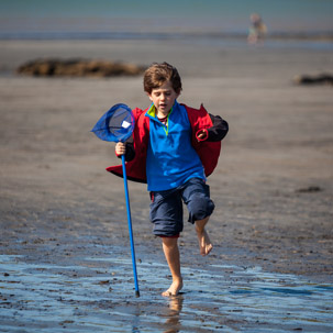 Newport - 15 April 2014 / Rock pooling