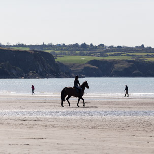 Newport - 15 April 2014 / Horse on the beach