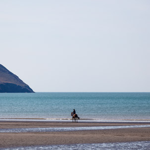 Newport - 15 April 2014 / Horse on the beach