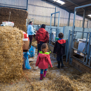 Dinas Island - 15 April 2014 / Visit of the farm