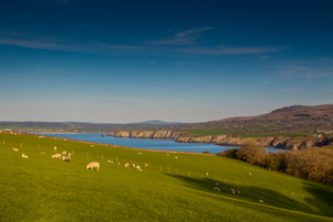 Dinas Island - 15 April 2014 / Dinas Island Farm